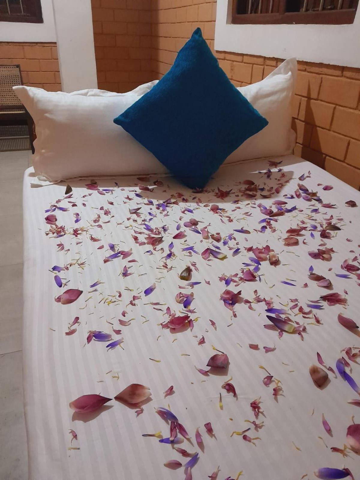 Laliz Bed and Breakfast Galle Εξωτερικό φωτογραφία